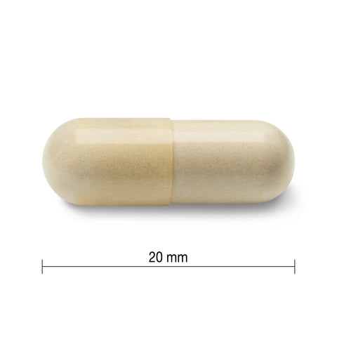 4028_glucosamine regular strength_pill