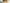 Promotion banner