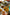 Article test again