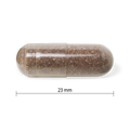 31002116 Jamieson Complete Gut Health 30 Capsules 10124_R2034_CompleteGutHealth_112mL_23mm_PILL