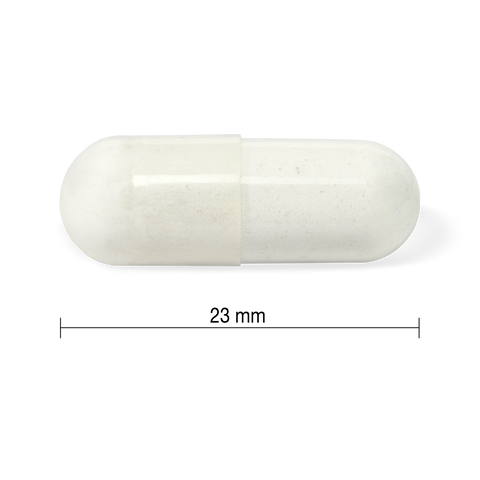 10184 10184_R2074_Magnesium_Bisglycinate_PIL_23mm_CONTENTS