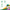 31000592 Jamieson Multivitamin for Kids Chewables, Fruit, 60 ct 240541_JV_Canada_Amazon_Q3_Digital Images_7877_KidsMulti2