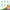 31001336 Jamieson Multivitamin Gummies for Kids, Mixed Fruit, 130 ct 240541_JV_Canada_Amazon_Q3_Digital Images_KidsMulti2