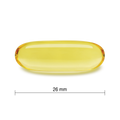 2546 2546_CONTENTS
