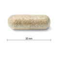 31000312 Jamieson Organic Echinacea 1,200 mg, 120 ct 2564_CONTENTS
