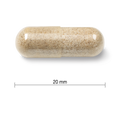 2583 2583_CONTENTS