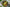 Promotion banner