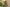 Promotion banner