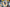 Promotion banner