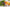 Promotion banner