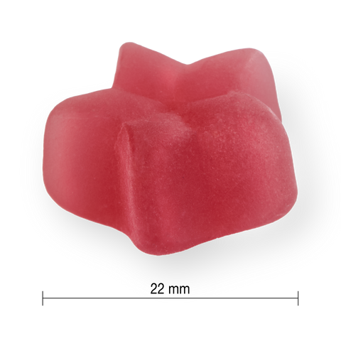 31002073 Jamieson Kids Multivitamin + Probiotic Gummies 31002073_J_GUM_KidsMulti+Probiotic_Raspberry_Gummy_PIL_22mm_CONTENTS