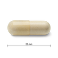 4028 4028_R2091_Glucosamine_Capsule_PIL_20mm_CONTENTS