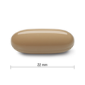31000366 Jamieson Glucosamine Chondroitin 500 mg, 180 ct 4030_CONTENTS