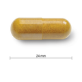 7884 7884_CONTENTS