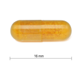 7996 7996_CONTENTS