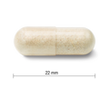9006 9006_CONTENTS