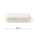 31000841 Jamieson Probiotic 10 Billion CFU, 60 ct 9012_CONTENTS