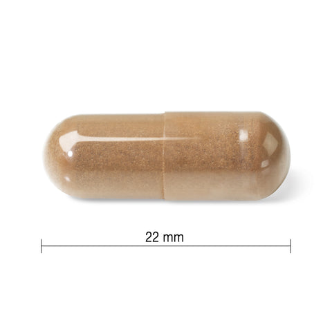 31000894 Jamieson Mushroom Complex Capsule 9121_CONTENTS