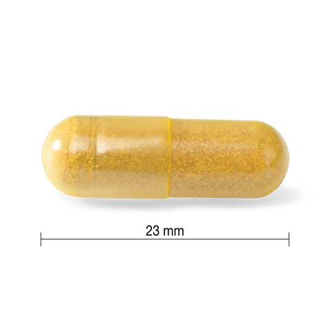 31000938 Jamieson Turmeric with Black Pepper 4,000 mg, 60 ct 9182_CONTENTS
