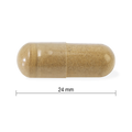 31001249 Jamieson Ashwagandha Capsules 9848_R2094_Ashwagandha_PIL_24mm_CONTENTS