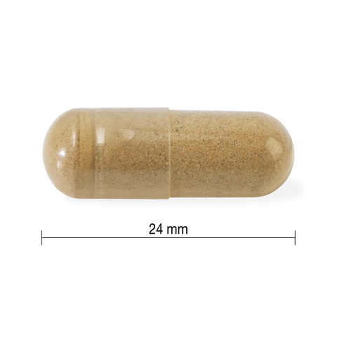31001249 Jamieson Ashwagandha Capsules 9848_R2094_Ashwagandha_PIL_24mm_CONTENTS