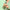Promotion banner