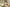 Promotion banner