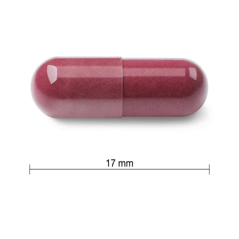 2611 Resveratrol - Red Wine Extract with Grape Seed Pill
